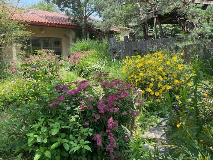 Location de vacances pour 6 personnes, avec vue et jardin à Sorèze - 3