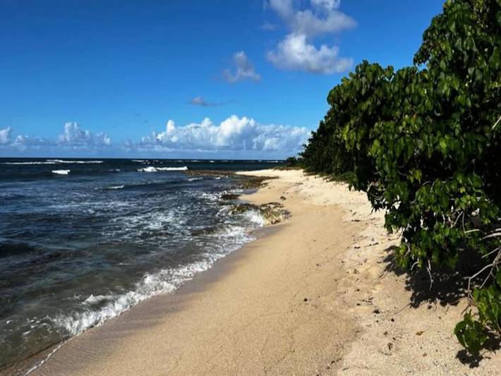 Appartement de vacances pour 3 personnes, avec jardin