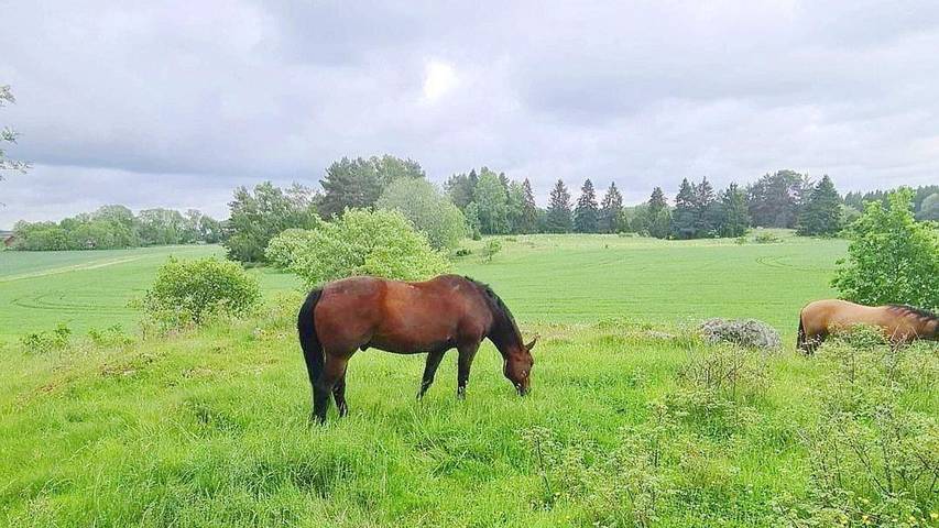 Location de vacances pour 5 personnes, avec balcon dans Uppsala - 2
