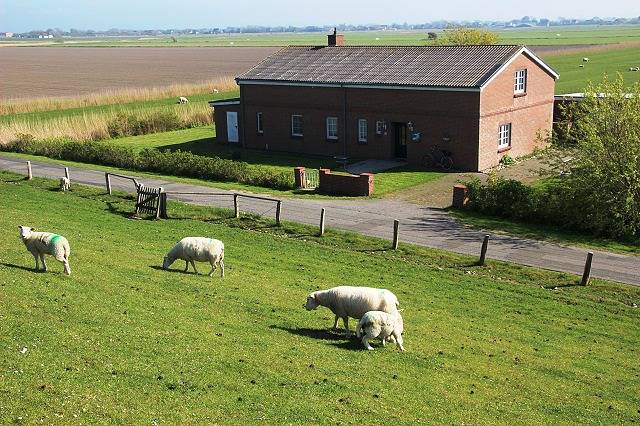 Ganze Ferienwohnung, Ferienwohnung Deichblick - Ferienwohnung Deichblick, 60qm, 1 Schlafzimmer, max. 2 Personen in Pellworm, Nordfriesland