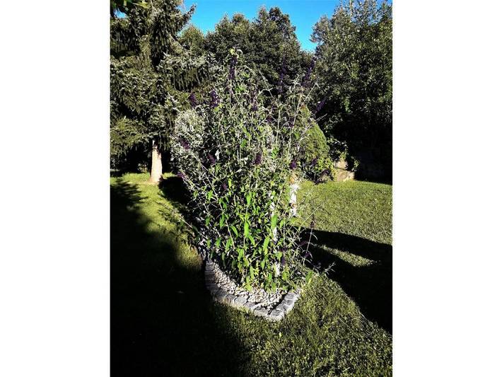 Ferienhaus für 4 Personen, mit Garten und Balkon, mit Haustier im Bayerischer Wald - 4