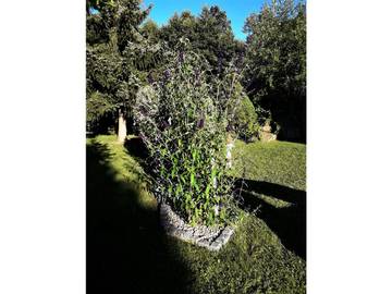 Ferienhaus für 4 Personen in Eppenschlag, Vorderer Bayerischer Wald, Bild 3