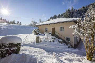 Appartement voor 4 Personen in Hopfgarten im Brixental, Kitzbüheler Alpen, Afbeelding 2