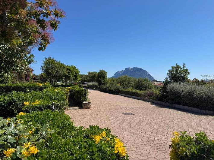 Hel lägenhet, Apartment 'Porto San Paolo Mono' with Private Terrace, Garden and Air Conditioning in Porto San Paolo, Loiri Porto San Paolo