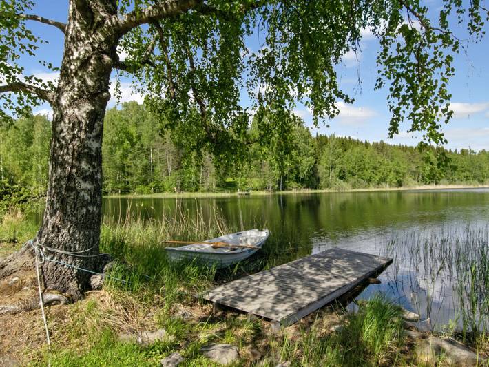 21 in Enonkoski, Südsavo