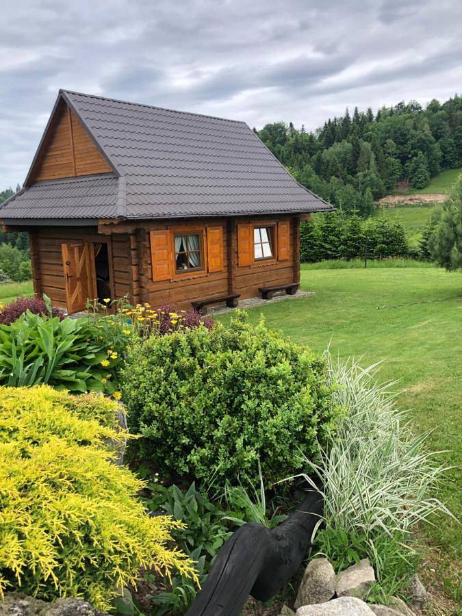 Przysłopiańska dacza in Karpaty (Polska)