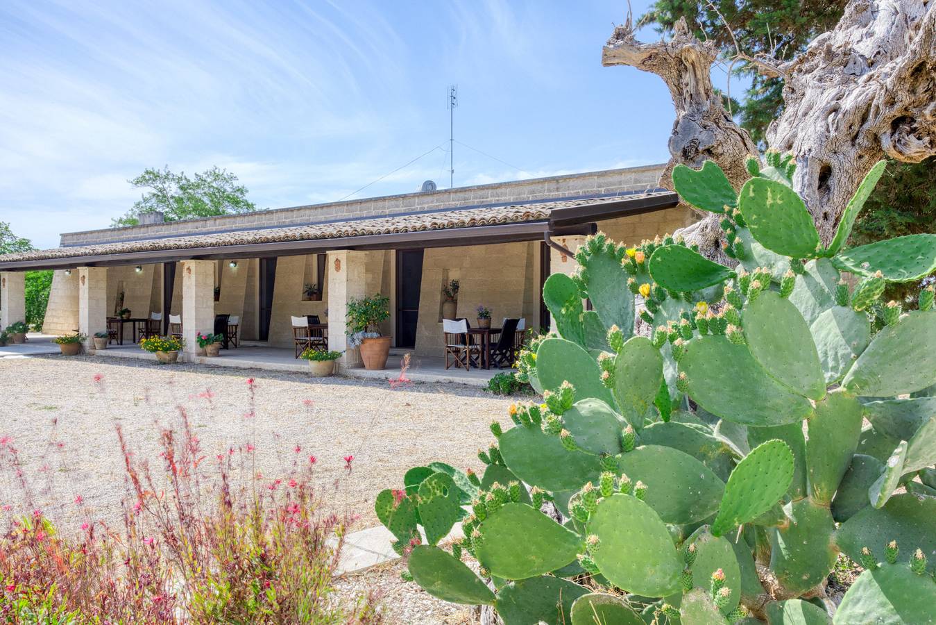 Intero agriturismo con piscina a uso esclusivo in Casarano, Golfo di Taranto
