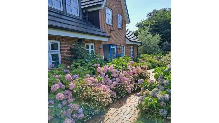 Ferienhaus für 6 Personen, mit Terrasse auf Amrum