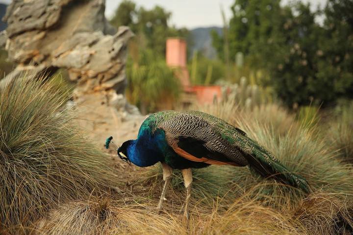 Maison de vacances pour 2 personnes, avec terrasse et jardin, animaux acceptés dans Californie
