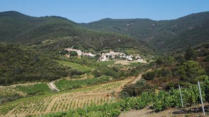 Gîte pour 6 Personnes dans Roquebrun, Parc naturel régional du Haut-Languedoc, Photo 2