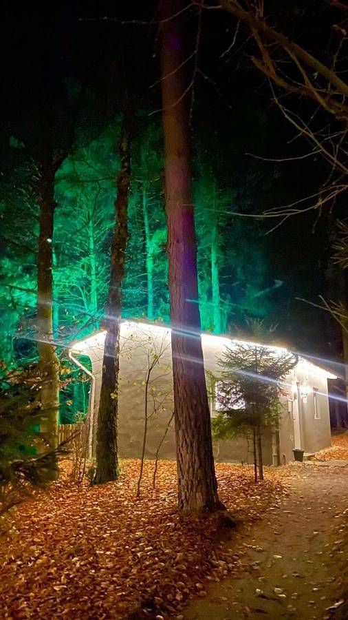 Ferienhaus mit Privatsauna in Lage, Kreis Lippe