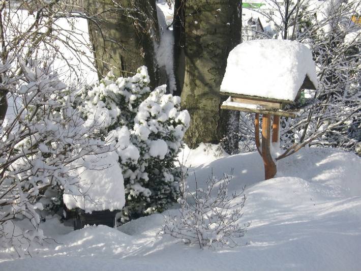 Ganze Ferienwohnung, Ferienwohnung Panorama - Ferienwohnung in Frankenblick, Thüringer Wald