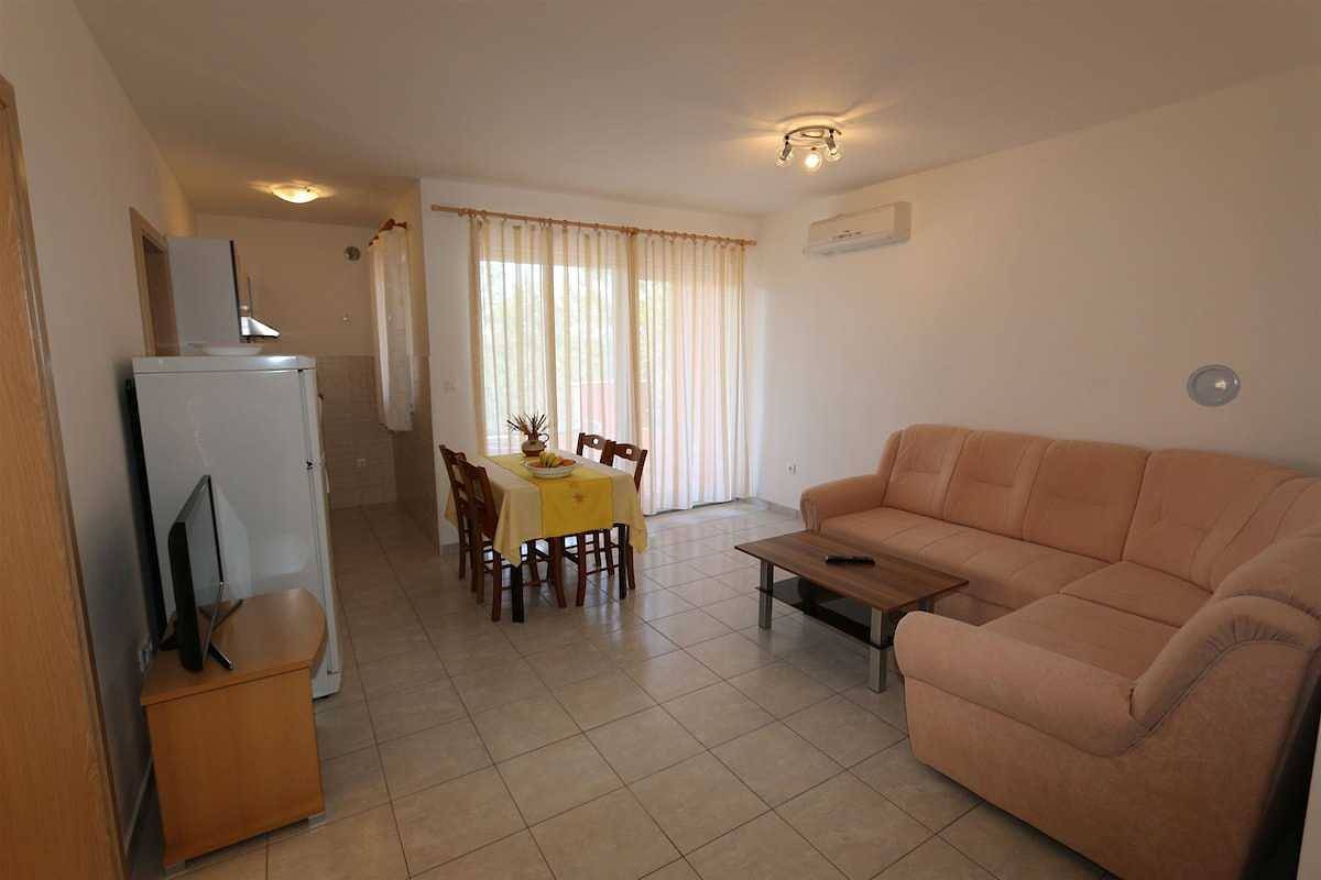 Ganze Wohnung, Ferienwohnung Dudovic Darko (10035-A4) in Silo (Krk), Krk
