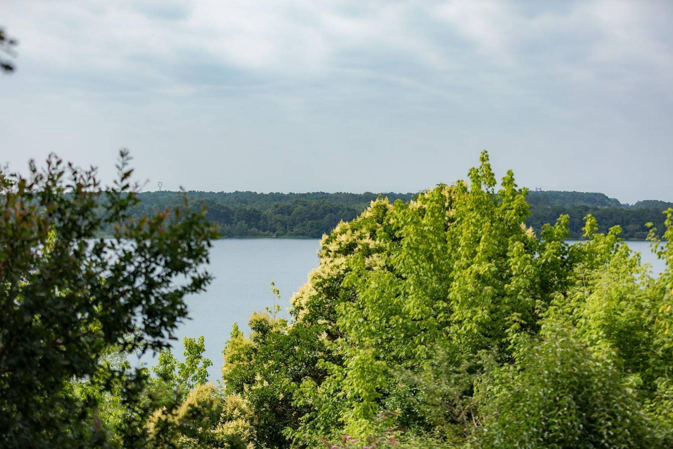 Gîte les Agréou in Arjuzanx, Landes