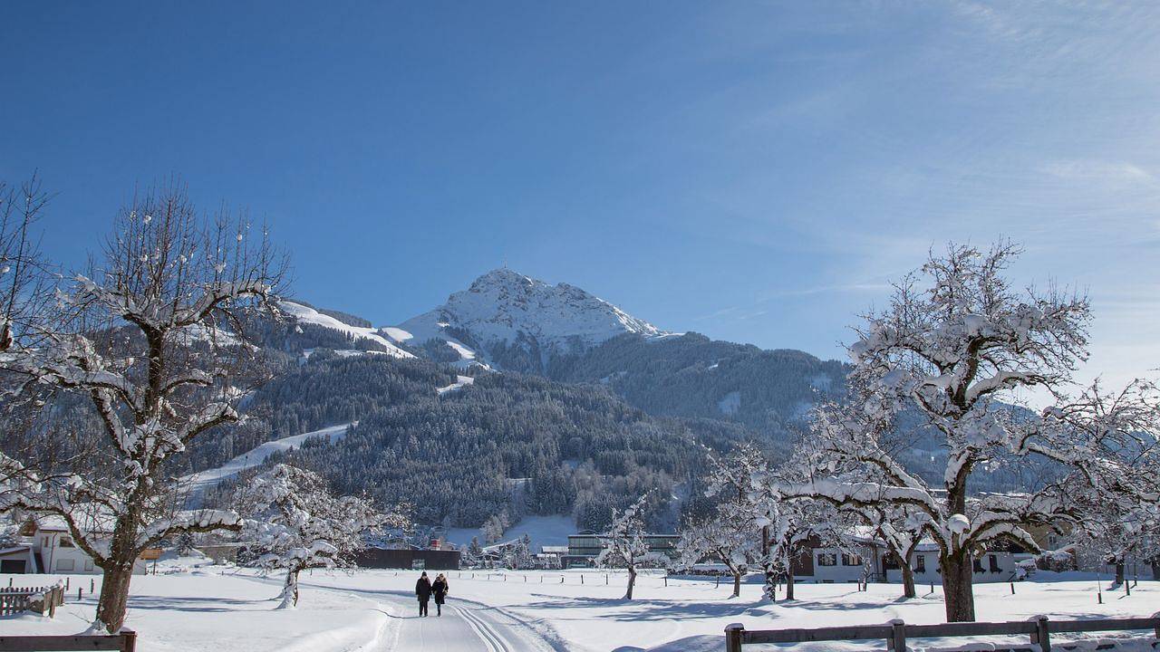 Ganze Ferienwohnung, Ferienwohnung für 4 Personen (48 m²) in Oberndorf in Tirol in Oberndorf in Tirol, Kitzbüheler Alpen