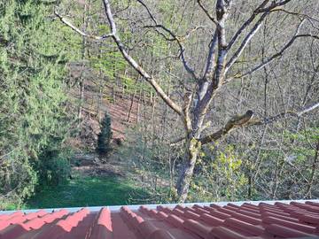 Ferienwohnung für 5 Personen in Bad Marienberg, Lahntal-Westerwald, Bild 2