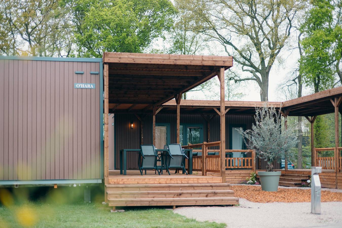 Vakantiepark Sallandshoeve — Tiny Wander Lodges | 8 Personen in Sallandse Heuvelrug