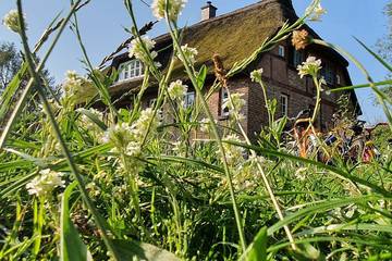 Ferienwohnung für 4 Personen, mit Garten, mit Haustier in Zirkow