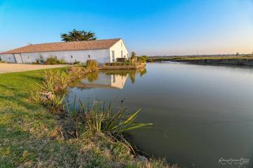 Maison de vacances pour 2 personnes, avec vue sur le lac ainsi que vue et jardin en Vendée