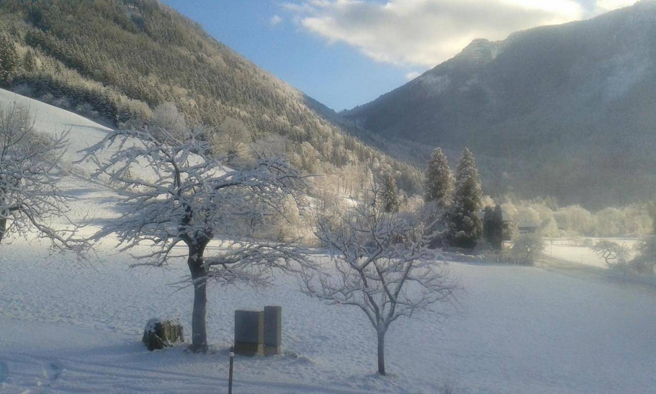 Standard Double Room in Lunz am See, Mostviertel Region