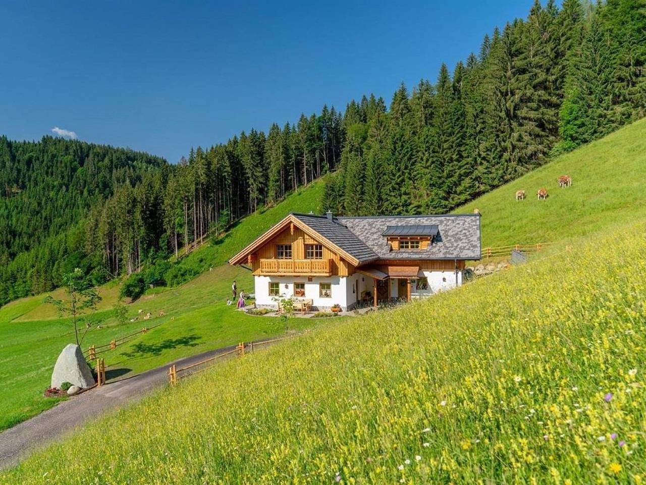 Hütte für 4 Personen in Dachsteingebirge, Haus