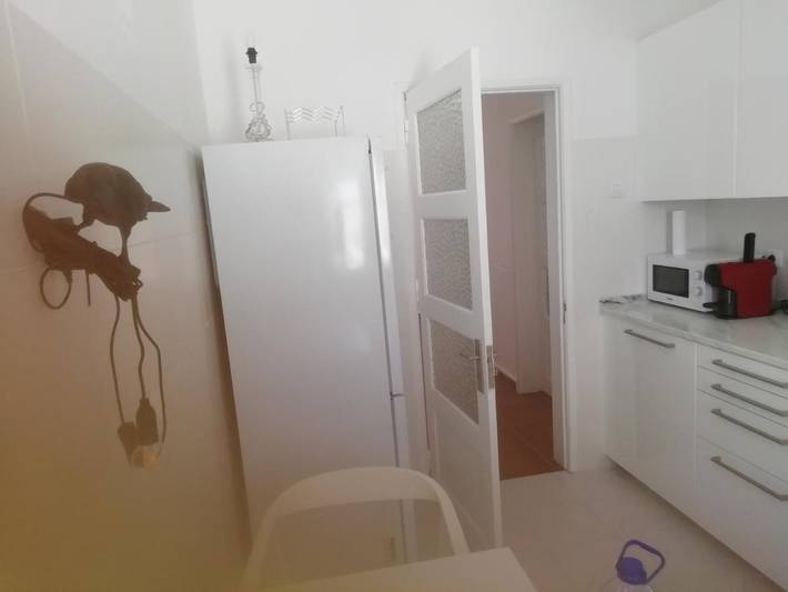 Gîte pour 5 personnes, avec jardin à Beja - 4