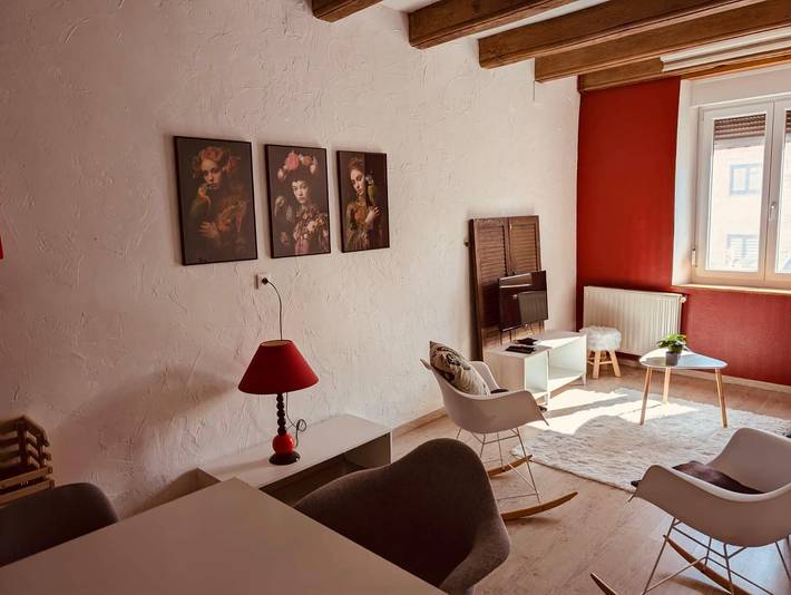 Location de vacances pour 7 personnes, avec terrasse et jardin dans Boulay-Moselle - 4