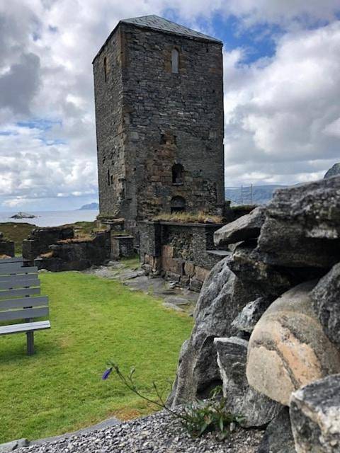 Ferienwohnung für 6 Personen, mit Ausblick und Garten, mit Haustier in Selje - 4