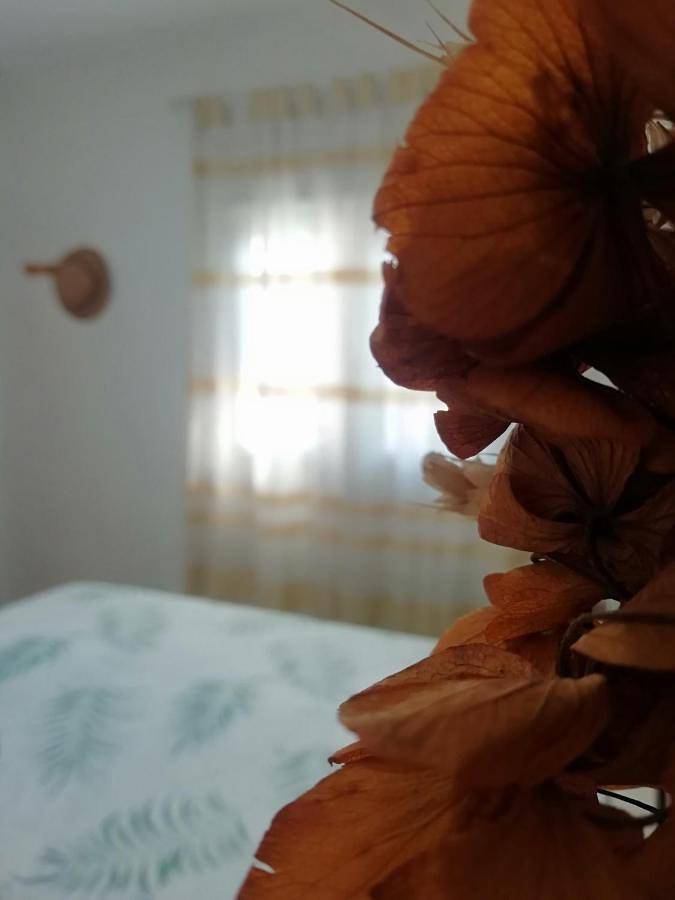 Casa rural para 2 personas, con vistas y jardín en Alcañiz - 2