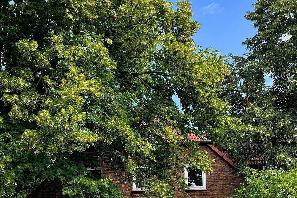 Ganze Wohnung, Loft Apartment auf der Cavalan Ranch in Laage, Mecklenburgische Ostseeküste