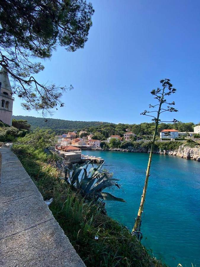 Villa with Private Pool in Cunski, Lošinj (Kvarner Bucht)