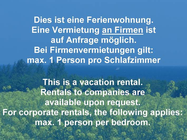 Ferienwohnung für 4 Personen, mit Terrasse und Sauna in Hohen Wieschendorf - 4