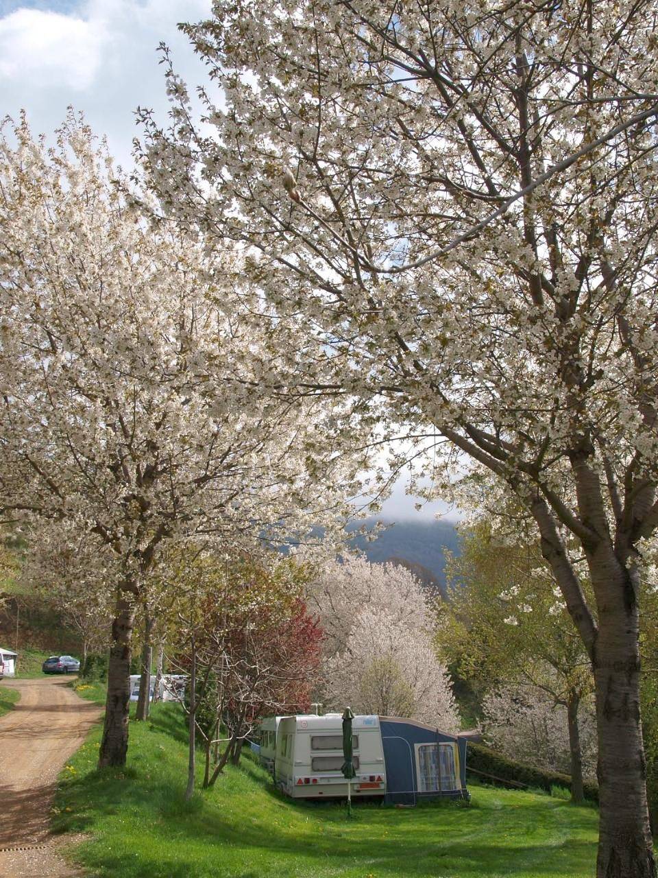Camping Can Fosses in Planolas, Pirineo Catalan