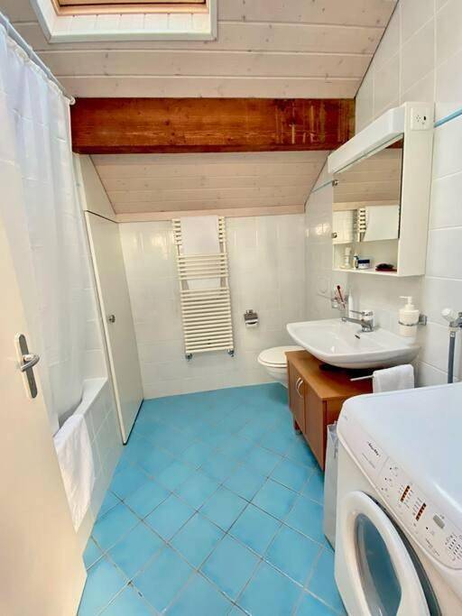 Gîte pour 5 personnes, avec vue sur le lac ainsi que jardin et terrasse, animaux acceptés à Lausanne - 4