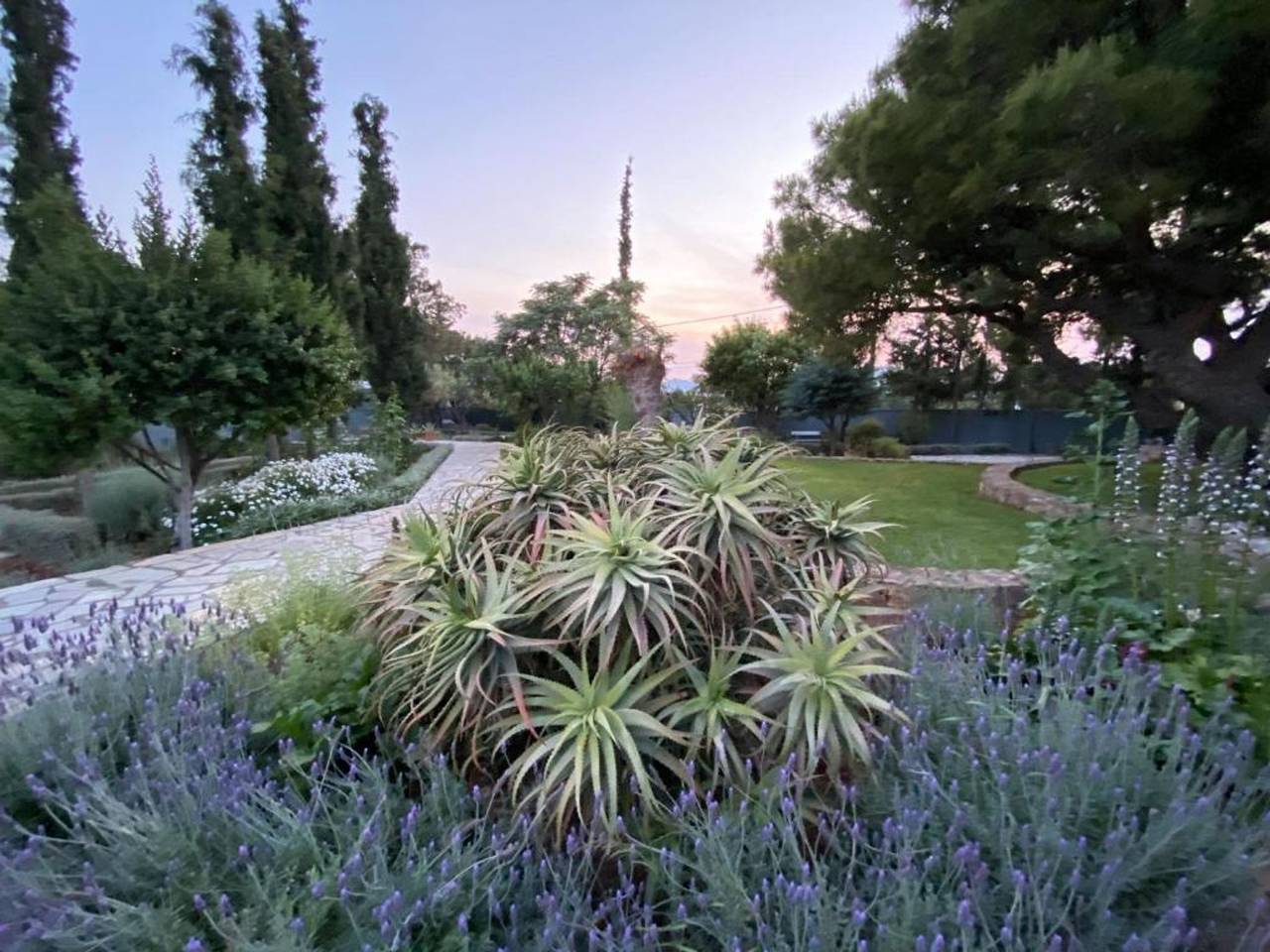 Villa-Agave, by the sea in Porto-Rafti outside Ath in Porto Rafti, Markopoulo-Mesogaia
