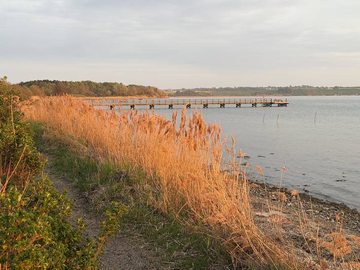 Großes Ferienhaus nahe Küste und Natur in Millinge, Kleiner Belt