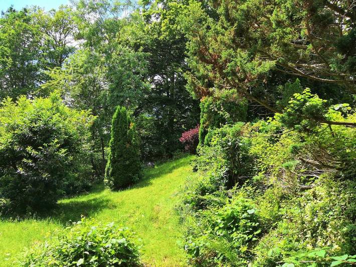 Gîte pour 2 personnes, avec vue et terrasse dans Trois-Épis - 2