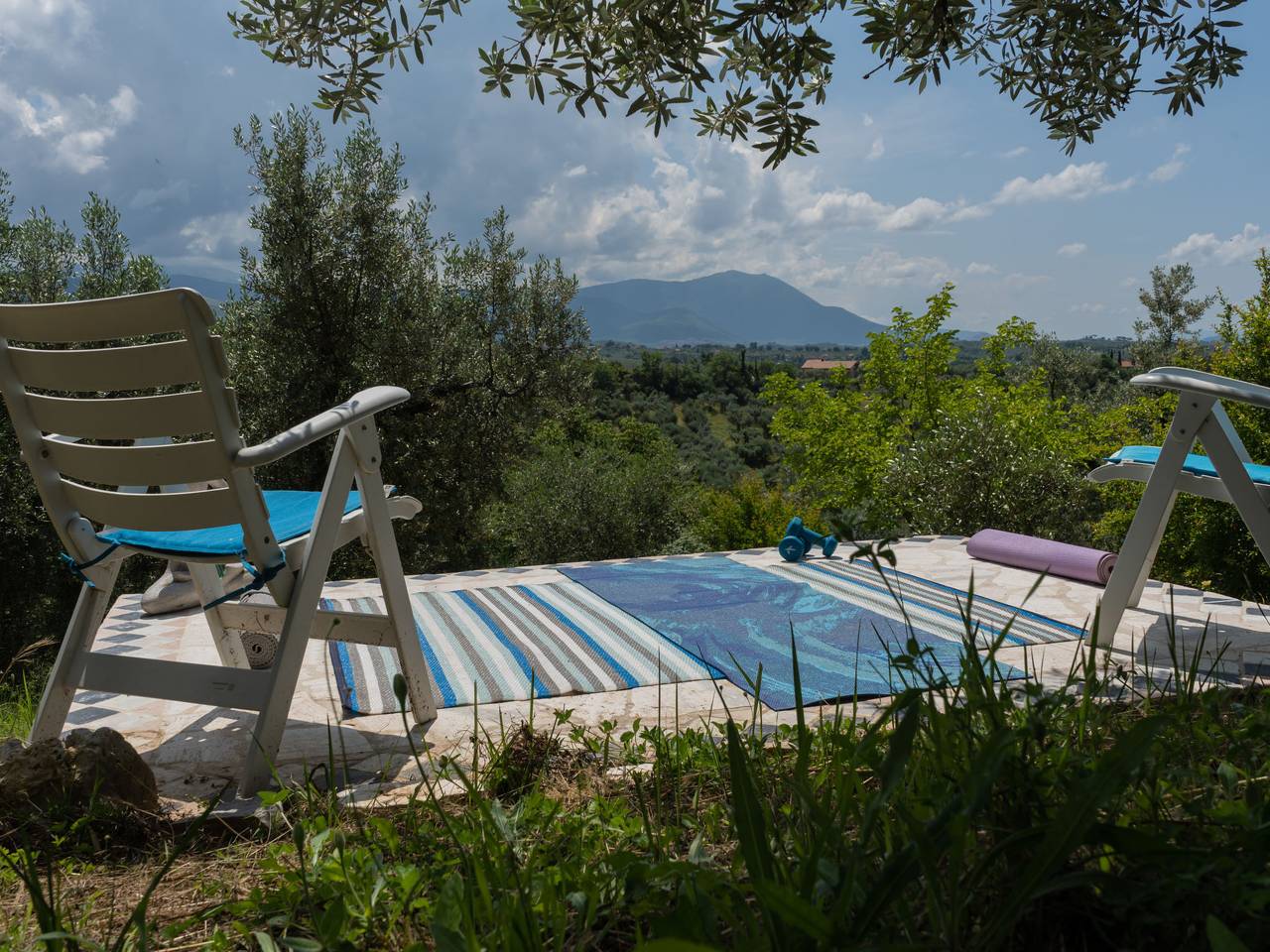 Olive Grove Sabina in Fara in Sabina, Provincia di Rieti