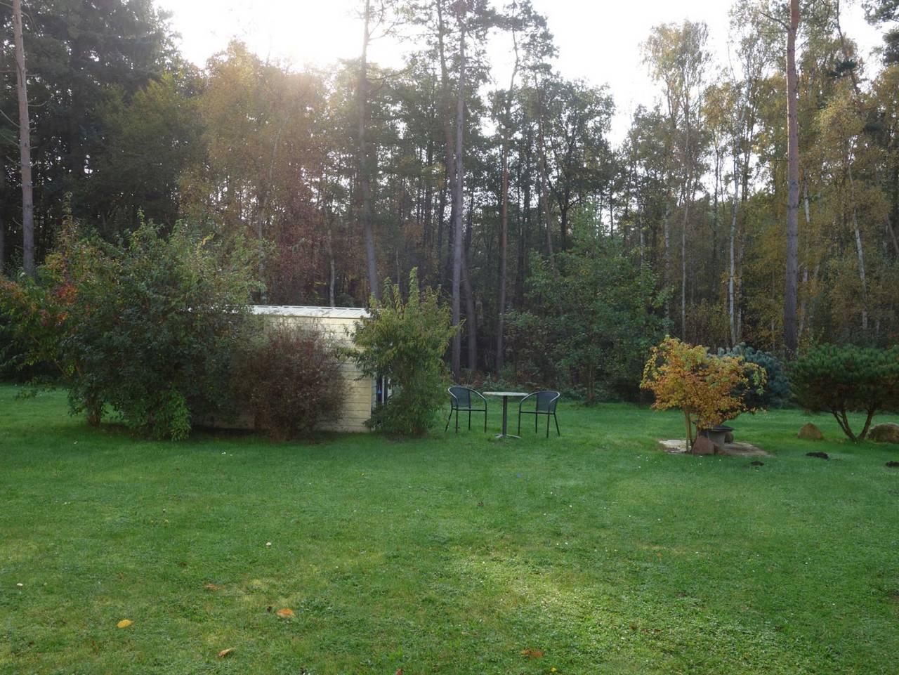 Bungalow für 2 Personen in Gelbensande, Fischland - Darß - Zingst