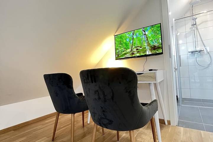 Entire apartment, Charmantes Studio-apartment im Herzen von Karlsruhe in Karlsruhe, Rhine Plain