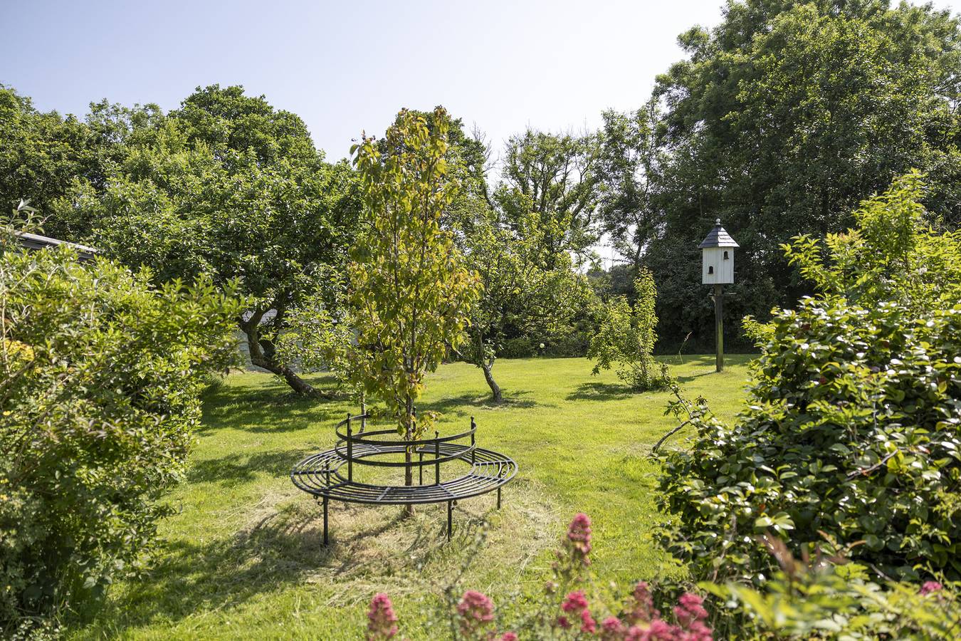 Hedgerow at Gorslwyd - Sound Retreat in Penbryn, Cardigan Bay
