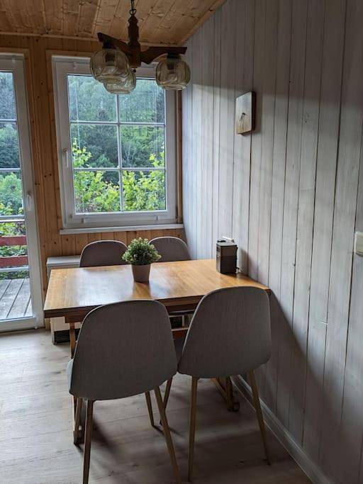 Ferienhaus für 4 Personen, mit Terrasse und Sauna sowie Ausblick in Schleusegrund - 3