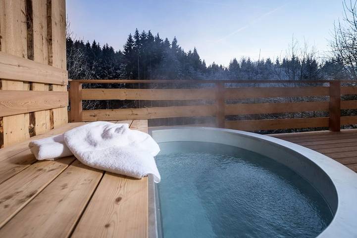 Ferienhaus für 2 Personen, mit Sauna und Balkon, mit Haustier in Regen (Ostbayern) - 4