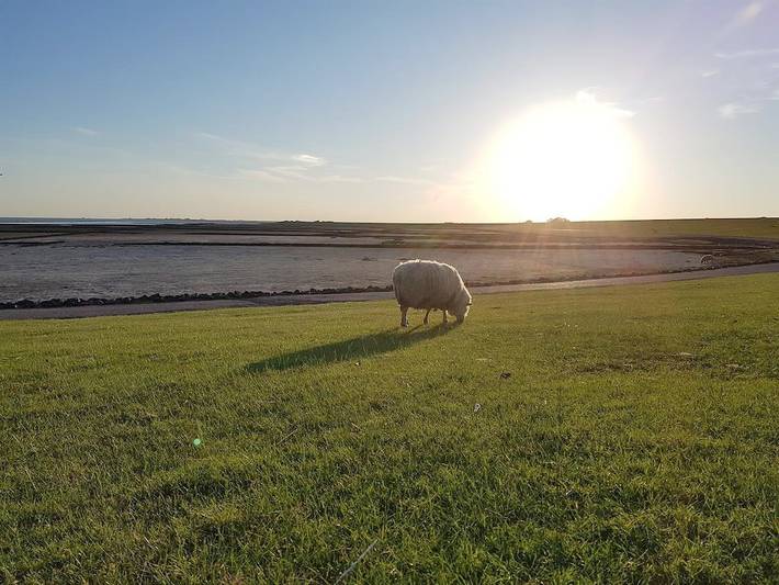 Ferienwohnung für 2 Personen in Garding - 3