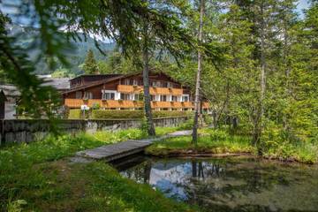 Hôtel pour 3 personnes, avec vue et jardin, animaux acceptés dans Les Diablerets