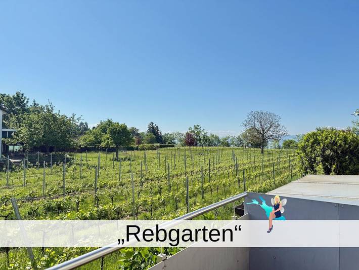 Ferienwohnung für 4 Personen, mit Balkon und Seeblick sowie Ausblick in Landkreis Lindau