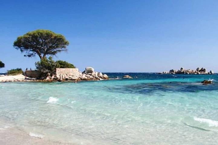 Location de vacances pour 6 personnes, avec Balcon et Jardin dans Plage de la Palombaggia