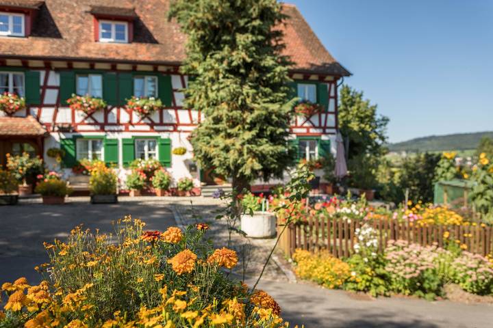 Gîte pour 4 personnes, avec Balcon ainsi que Jardin et Sauna à Owingen - 4