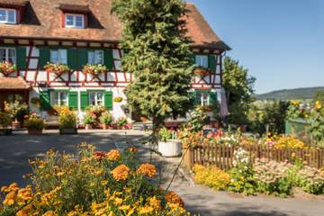 Ferienwohnung für 4 Personen in Owingen, Region Bodensee-Oberschwaben, Bild 3
