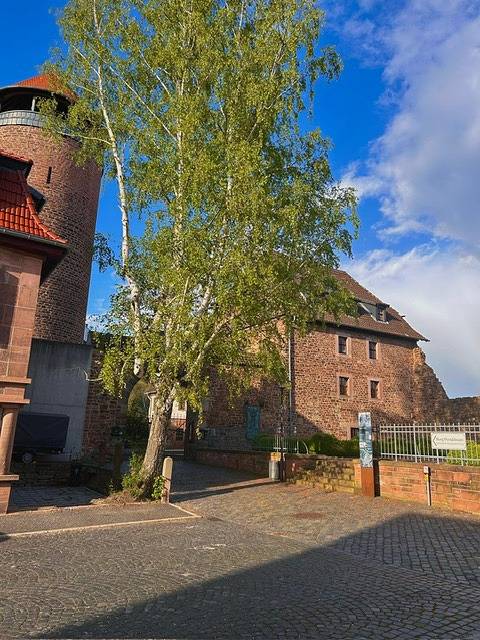 Ferienhaus für 2 Personen, mit Garten in Thüringen - 2